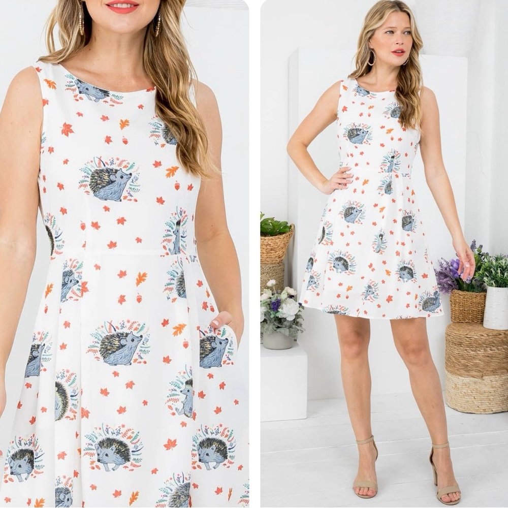 Hedgehog 🦔 Prints Skater Fit Flare Dress With Pockets